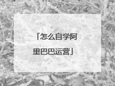 怎么自学阿里巴巴运营