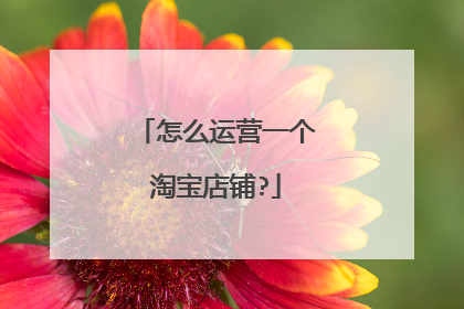 怎么运营一个淘宝店铺?