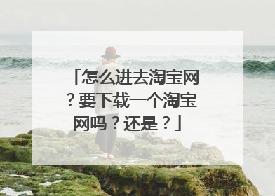怎么进去淘宝网？要下载一个淘宝网吗？还是？