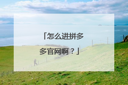 怎么进拼多多官网啊?