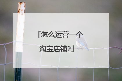 怎么运营一个淘宝店铺?
