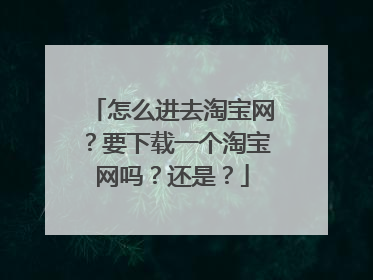 怎么进去淘宝网?要下载一个淘宝网吗?还是?