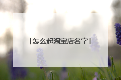 怎么起淘宝店名字