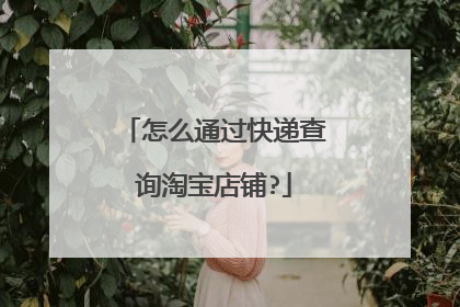 怎么通过快递查询淘宝店铺?