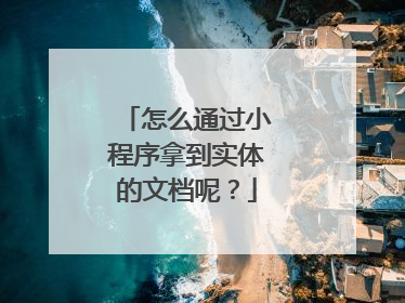 怎么通过小程序拿到实体的文档呢?