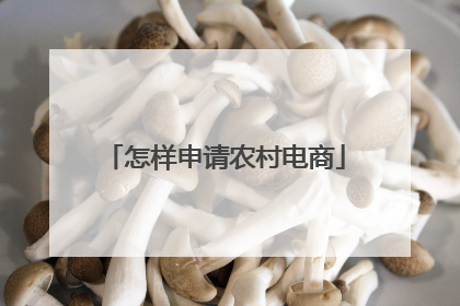 怎样申请农村电商