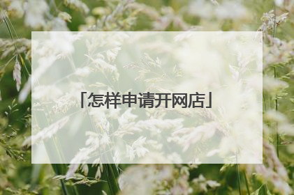 怎样申请开网店