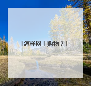 怎样网上购物?