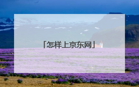 怎样上京东网