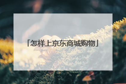 怎样上京东商城购物