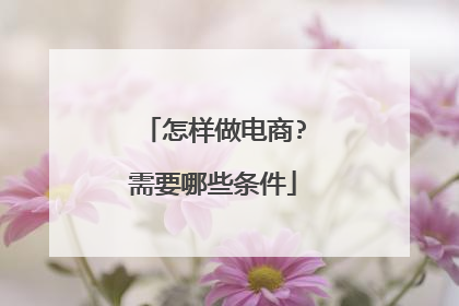 怎样做电商?需要哪些条件