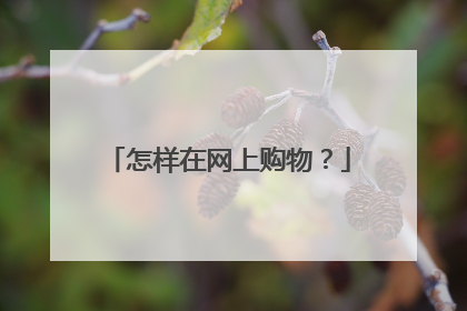 怎样在网上购物?