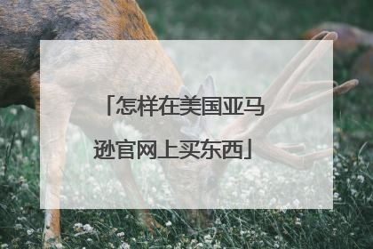 怎样在美国亚马逊官网上买东西