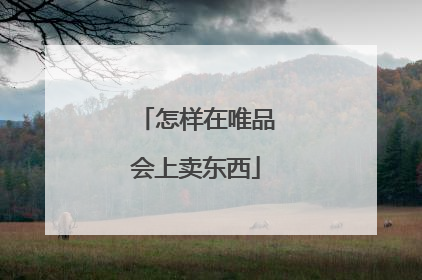 怎样在唯品会上卖东西