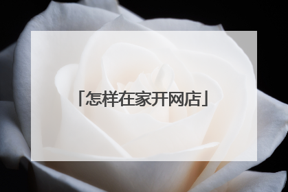 怎样在家开网店