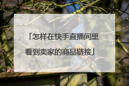 怎样在快手直播间里看到卖家的商品链接
