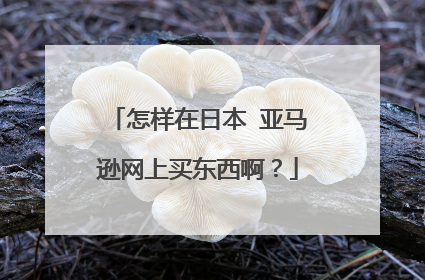 怎样在日本 亚马逊网上买东西啊?