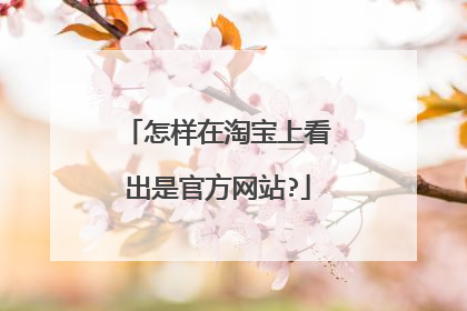 怎样在淘宝上看出是官方网站?