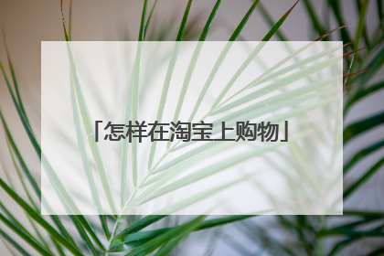 怎样在淘宝上购物