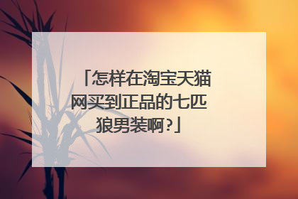 怎样在淘宝天猫网买到正品的七匹狼男装啊?
