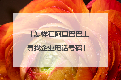 怎样在阿里巴巴上寻找企业电话号码