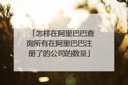 怎样在阿里巴巴查询所有在阿里巴巴注册了的公司的数量
