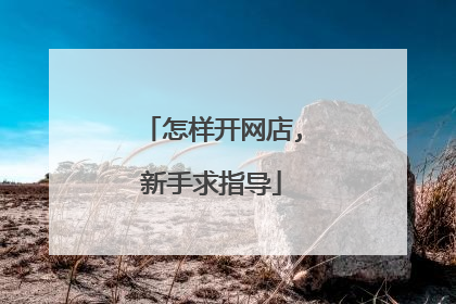 怎样开网店,新手求指导