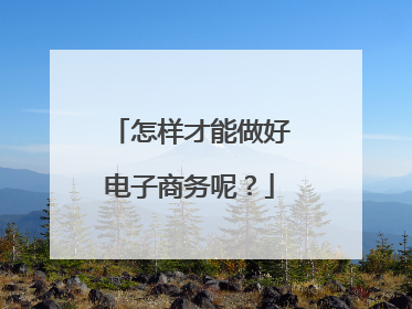 怎样才能做好电子商务呢?