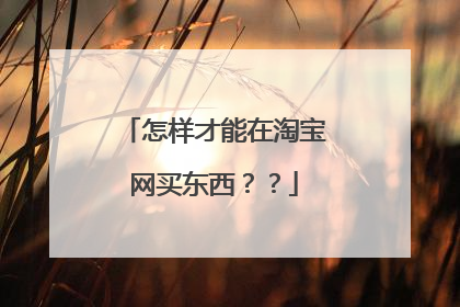 怎样才能在淘宝网买东西??