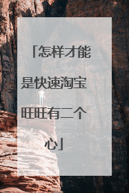 怎样才能是快速淘宝旺旺有二个心
