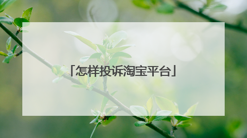 怎样投诉淘宝平台
