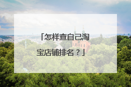 怎样查自己淘宝店铺排名?