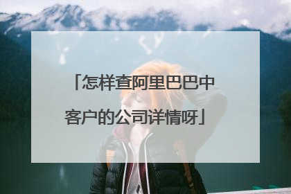 怎样查阿里巴巴中客户的公司详情呀