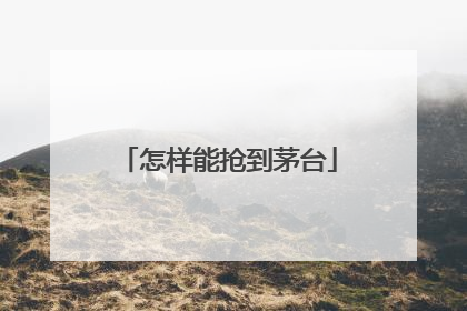 怎样能抢到茅台