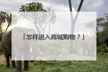 怎样进入商城购物?