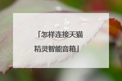 怎样连接天猫精灵智能音箱