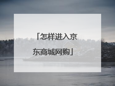 怎样进入京东商城网购