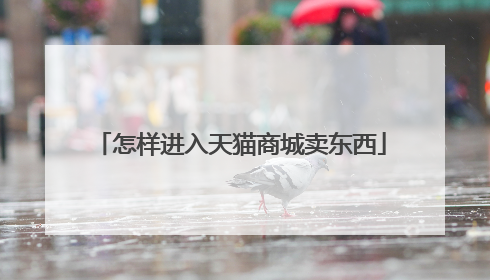 怎样进入天猫商城卖东西