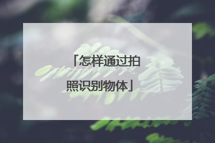 怎样通过拍照识别物体
