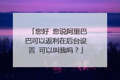 您好 您说阿里巴巴可以返利在后台设置 可以叫我吗?