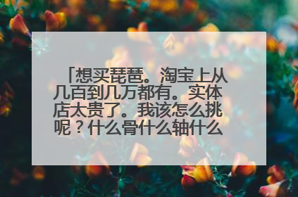 想买琵琶。淘宝上从几百到几万都有。实体店太贵了。我该怎么挑呢？什么骨什么轴什么相，看不懂啊。