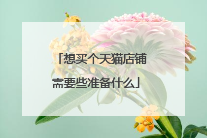 想买个天猫店铺需要些准备什么