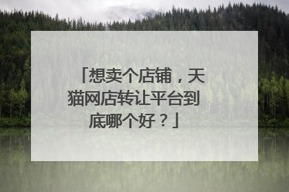 想卖个店铺，天猫网店转让平台到底哪个好？