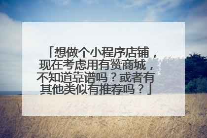 想做个小程序店铺,现在考虑用有赞商城,不知道靠谱吗?或者有其他类似有推荐吗?