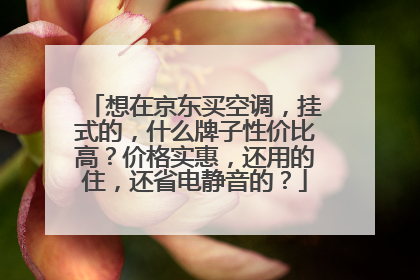 想在京东买空调,挂式的,什么牌子性价比高?价格实惠,还用的住,还省电静音的?