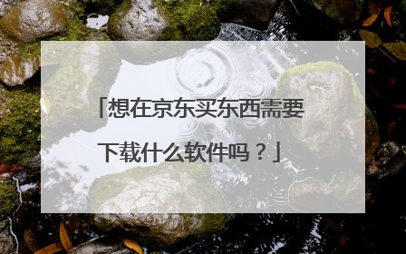 想在京东买东西需要下载什么软件吗?