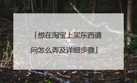 想在淘宝上买东西请问怎么弄及详细步骤