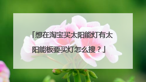 想在淘宝买太阳能灯有太阳能板要买灯怎么搜?