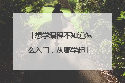 想学编程不知道怎么入门,从哪学起