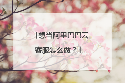 想当阿里巴巴云客服怎么做?